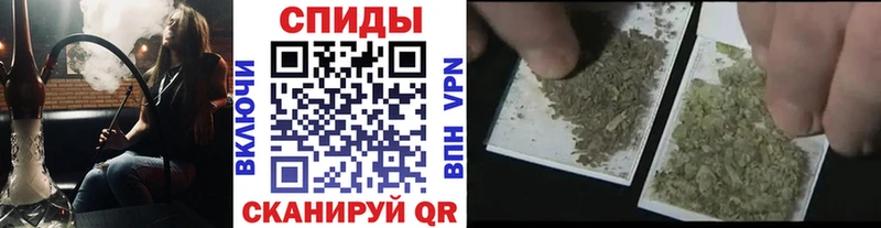 БУТИРАТ BDO 33%  Ядрин 