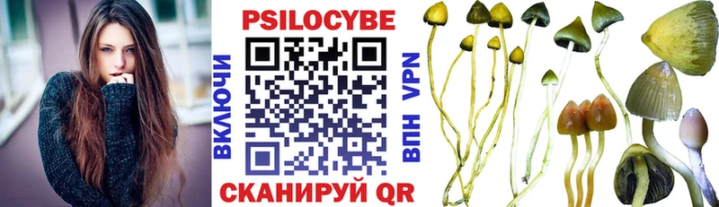 нарко площадка телеграм  где купить наркоту  Ядрин  Галлюциногенные грибы ЛСД 